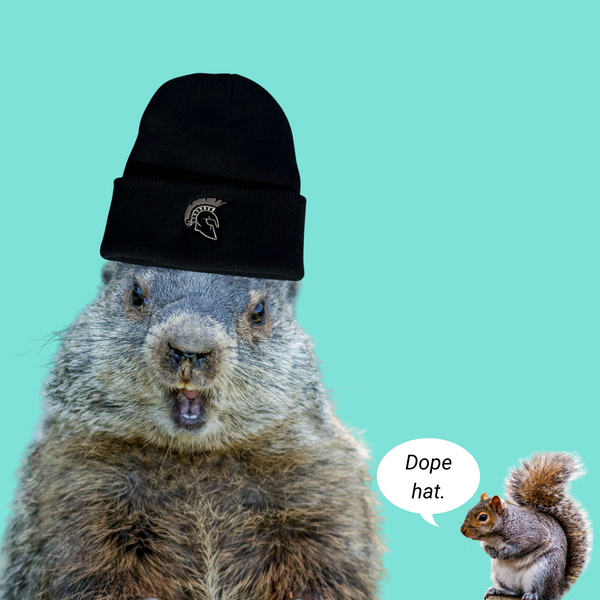 Groundhog wearing black hat with embroidered Spartan logo.